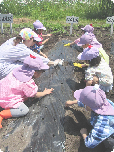 園庭で遊ぶ子どもたち